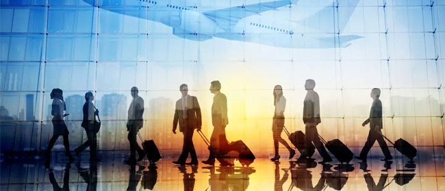 Mice Incentive Tours